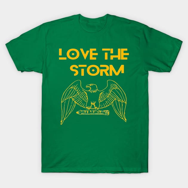 Eagle - Love the storm T-Shirt by Bharat Parv